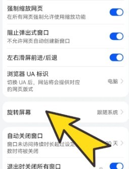 啵啵浏览器黑色版