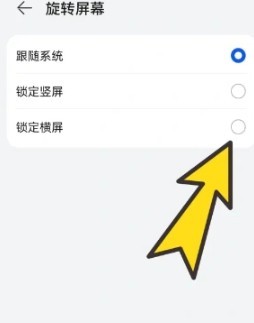 啵啵浏览器黑色版
