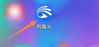 有看头