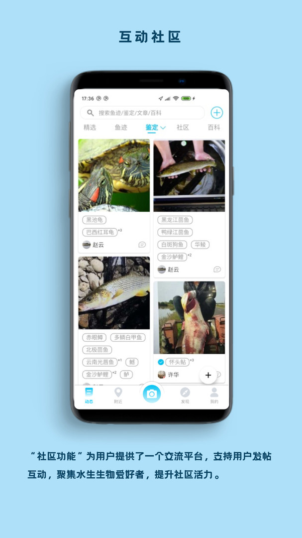 看鱼安卓版截图0