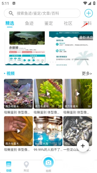 看鱼安卓版