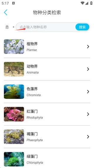 看鱼安卓版