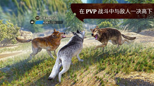狼族截图2