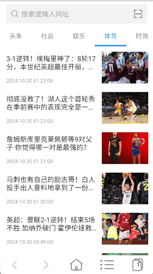 蜜柚浏览器app截图3