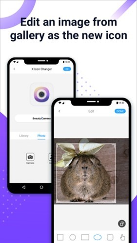 xicon changer截图1