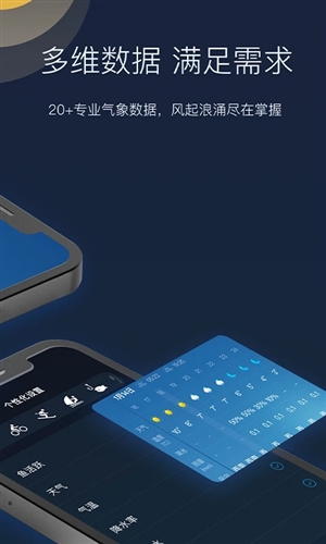 全球天气截图2