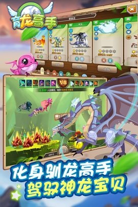 育龙高手截图1