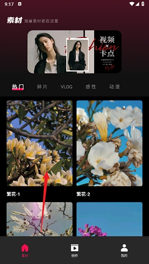 Tibni外国快手