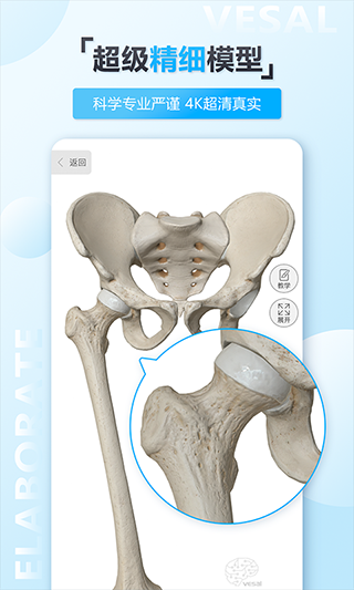 维萨里3D解剖截图3