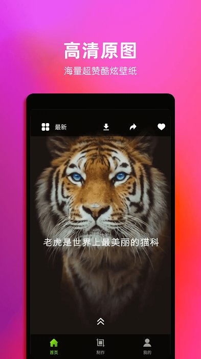 4K动态壁纸截图2