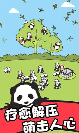 熊猫森林正版截图0