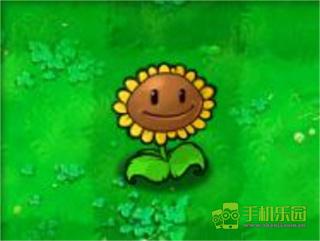 植物大战僵尸经典原版