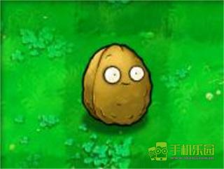 植物大战僵尸经典原版