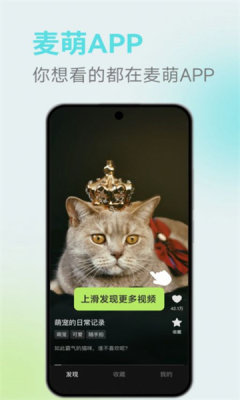 麦萌短剧最新版截图0