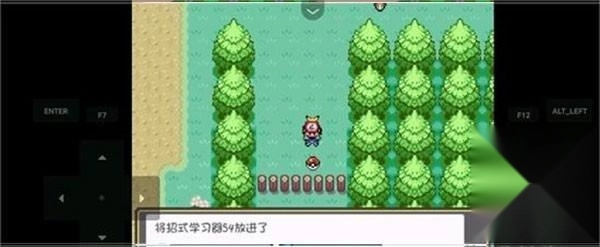 口袋妖怪燃之智安卓版