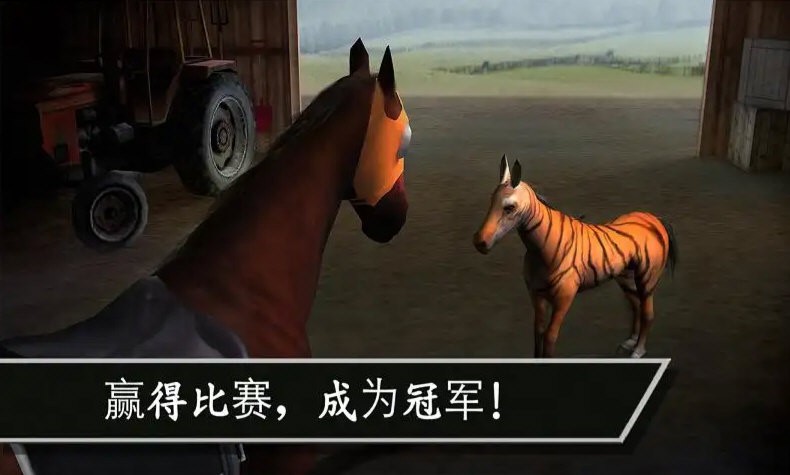 赛马赢得杯赛挑战