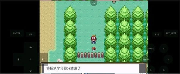 口袋妖怪燃之智安卓版截图0