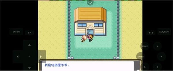 口袋妖怪燃之智安卓版截图2
