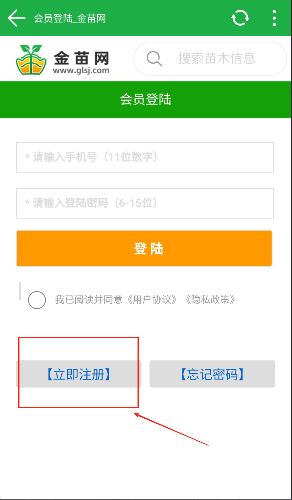 金苗网