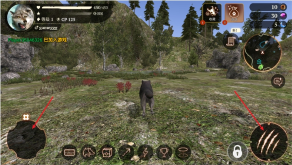 the wolf