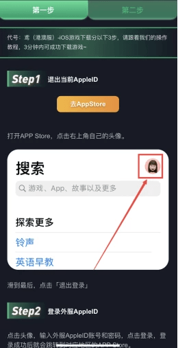 代号鸢港版