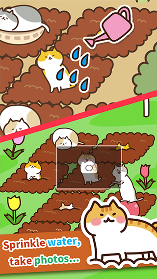 猫咪田园截图1