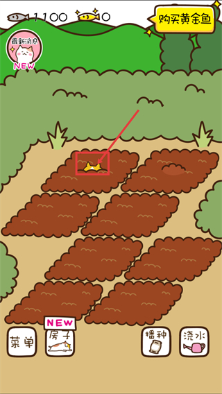 猫咪田园
