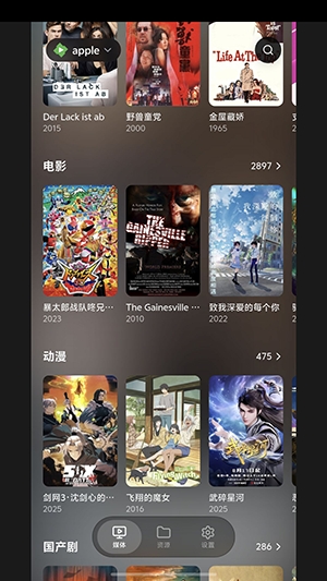 卡皮巴拉播放器安装截图1