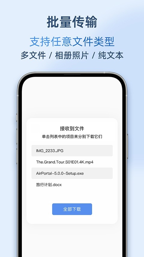 airportal截图3
