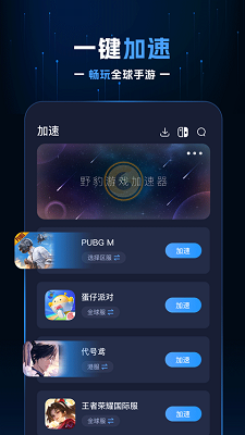 野豹加速器截图1
