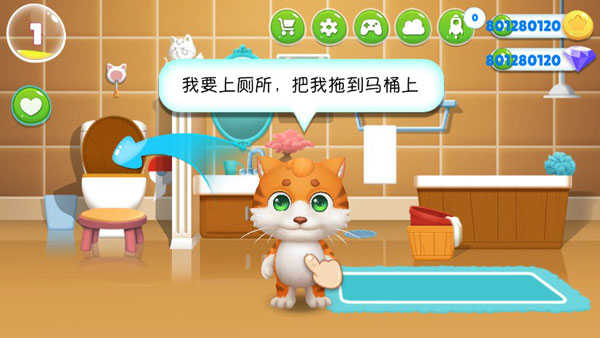 我的皮皮猫