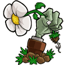 植物大战僵尸重置版