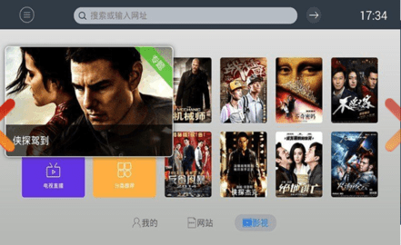 飞视浏览器领先版截图0
