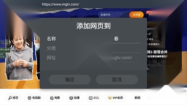 飞视浏览器领先版