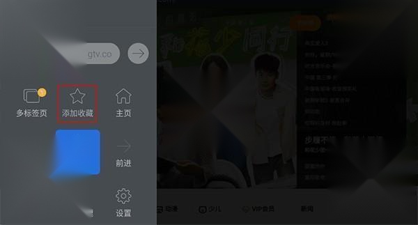 飞视浏览器领先版