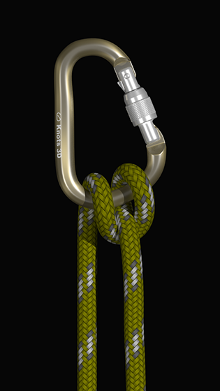3D绳结之王Knots 3D.4截图2