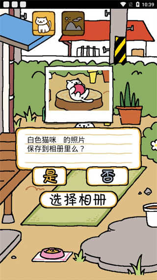 猫咪后院中文版截图0