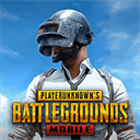 刺激战场亚服v3.6.0