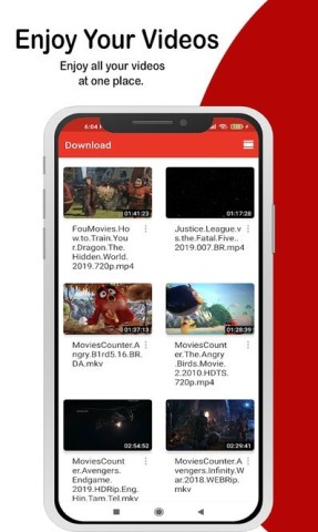 flash player