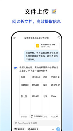 deepseek2025最新版截图2