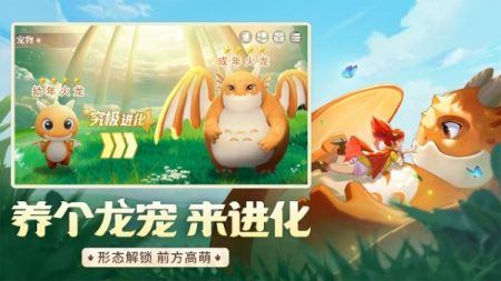 龙骑士学园最新版截图1