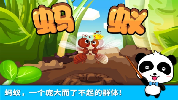 宝宝认蚂蚁安卓版截图3