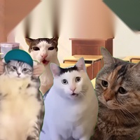猫meme搞怪冒险安卓版
