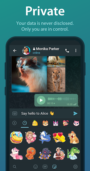 纸飞机apk