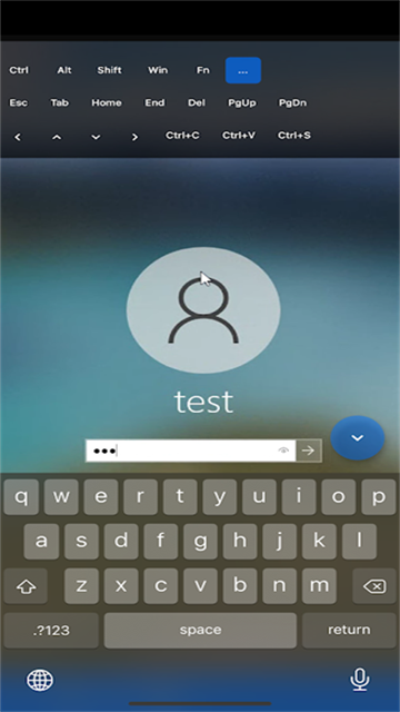 RustDesk手机版截图2
