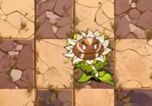 植物大战僵尸神奇植物手机版