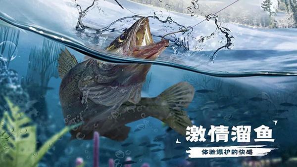 天天钓鱼最新版截图2