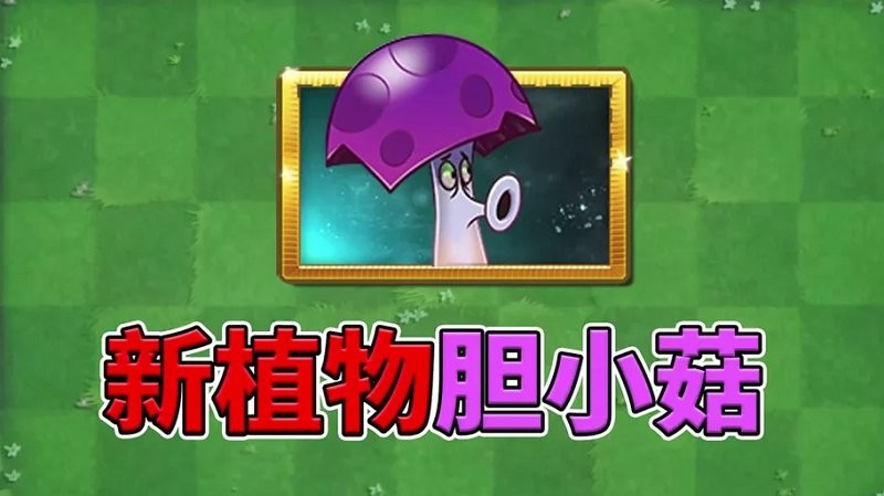 植物大战僵尸胆小菇之梦电脑版截图0