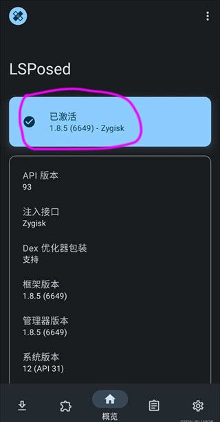 lsposed模块