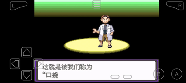 口袋妖怪漆黑的魅影正版截图0